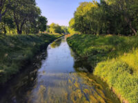 Park Grabek Travel Forum Reviews