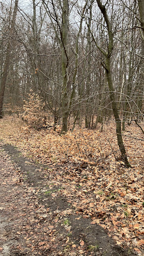 Park Krokusplan