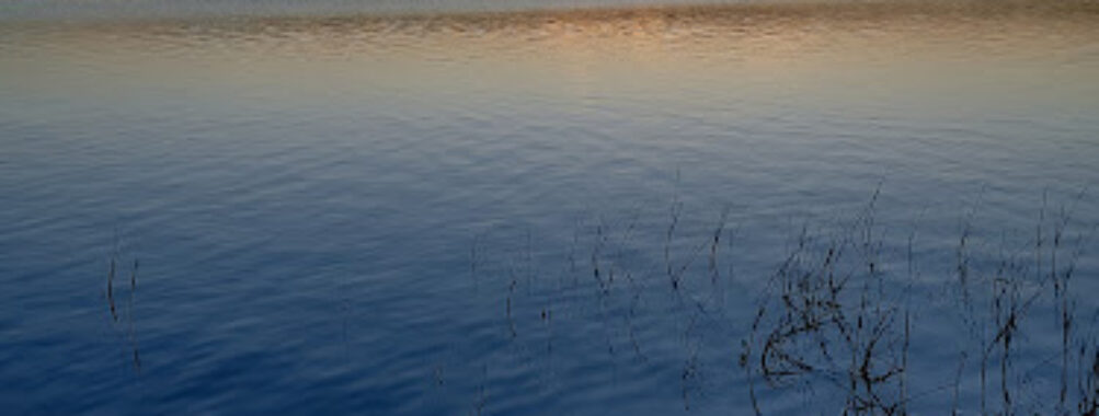 Park Mir Travel Forum Reviews