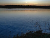 Park Mir Travel Forum Reviews
