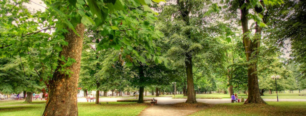 Park Mladen Stojanović Travel Forum Reviews