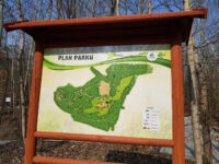 Park Rozkówka Travel Forum Reviews