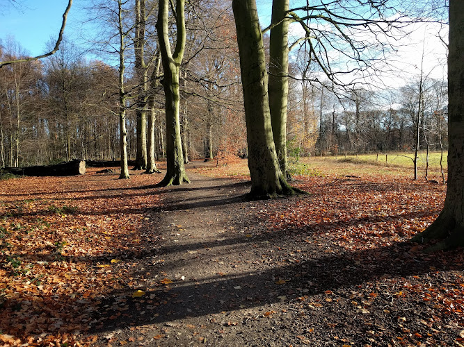Park Schothorst