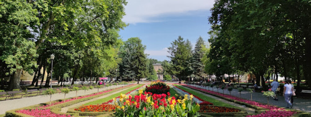 Park Solankowy Inowrocław Travel Forum Reviews