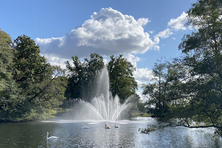 Park Sonsbeek