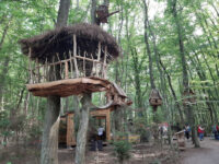 Park Yantarnogo Perioda. Travel Forum Reviews