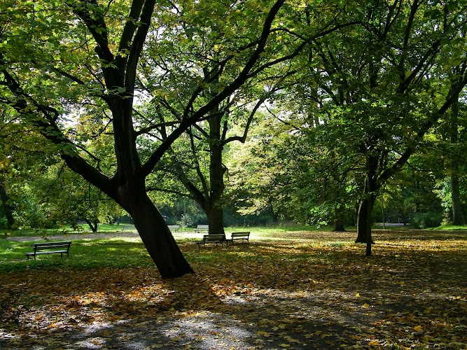 Park Żeromskiego