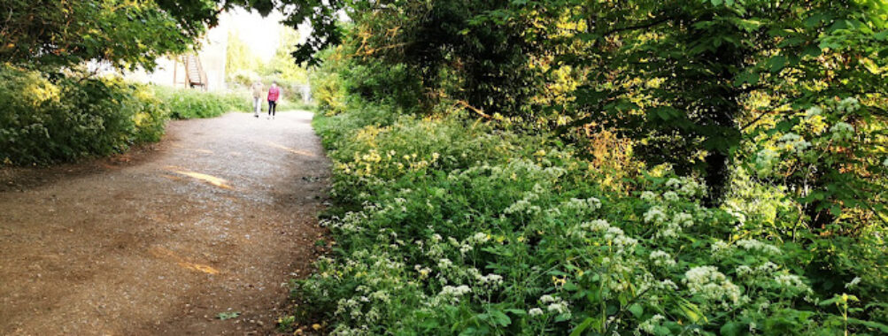Parkland Walk Travel Forum Reviews