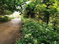 Parkland Walk Travel Forum Reviews