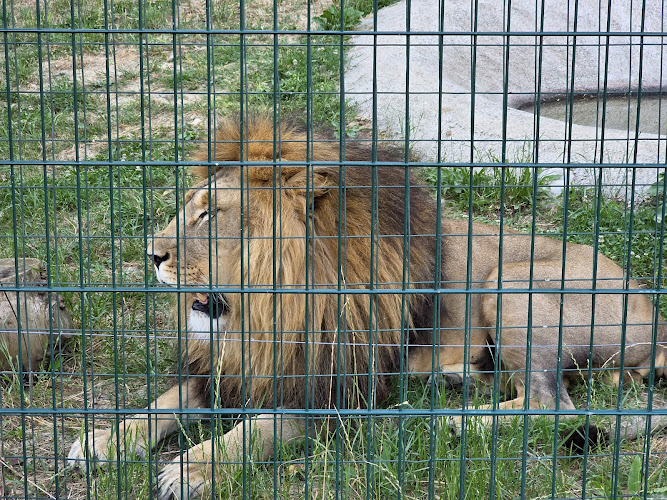 Parku Zoologjik i Tiranës