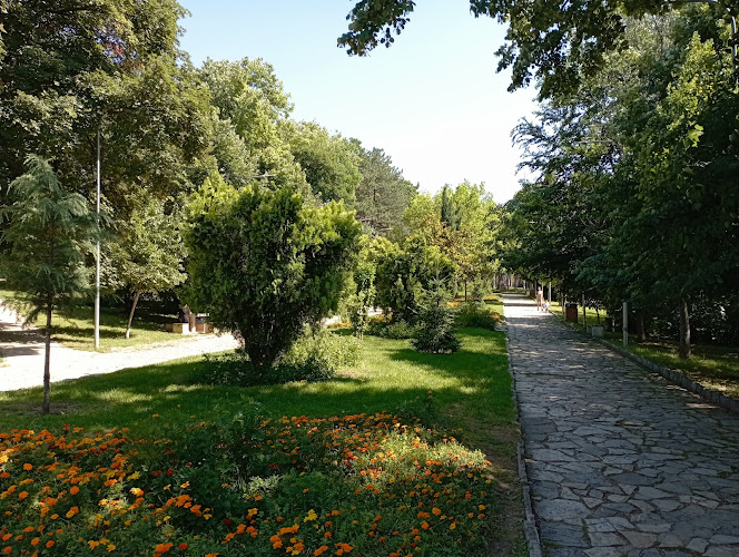 Parku i Qytetit