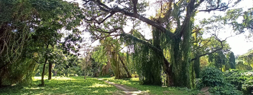 Parque Almendares Travel Forum Reviews