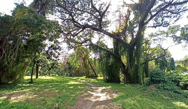 Parque Almendares