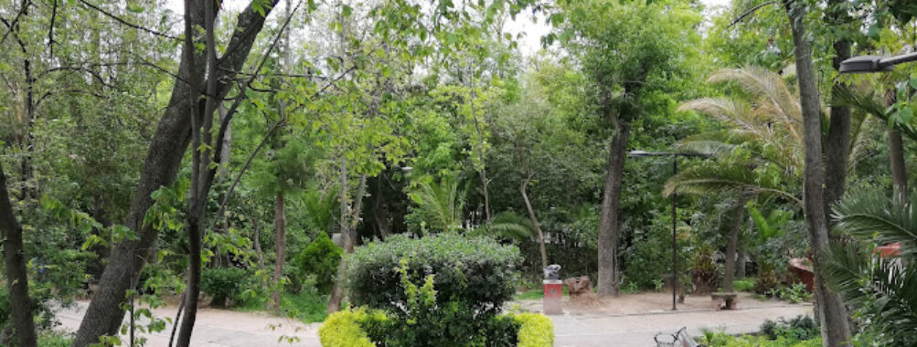 Parque Benito Juárez Travel Forum Reviews