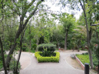 Parque Benito Juárez Travel Forum Reviews