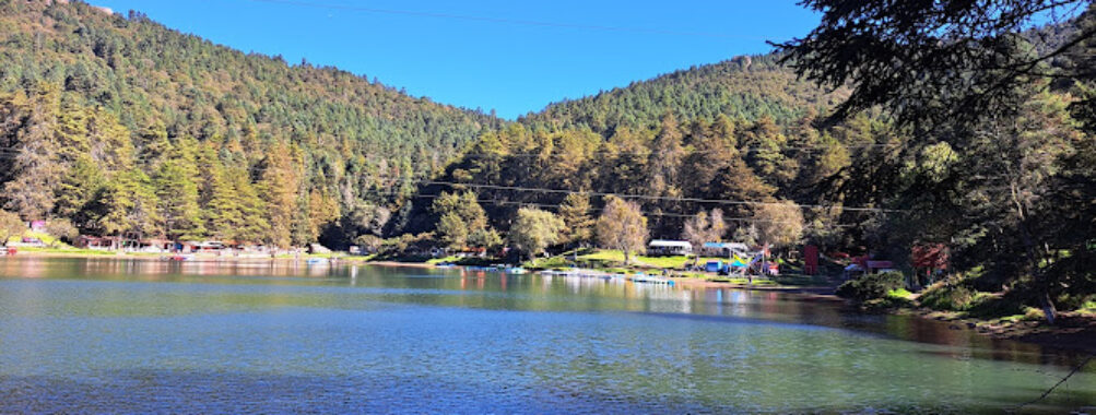 Parque Ecológico el Cedral Travel Forum Reviews