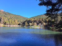 Parque Ecológico el Cedral Travel Forum Reviews