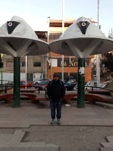 Parque El Minero