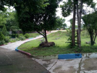 Parque EstelÍ Heróico Travel Forum Reviews