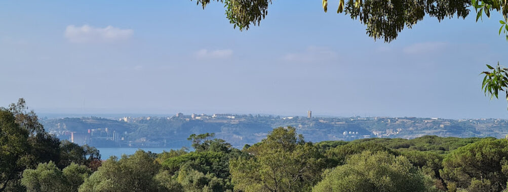 Parque Florestal de Monsanto Travel Forum Reviews