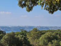 Parque Florestal de Monsanto Travel Forum Reviews