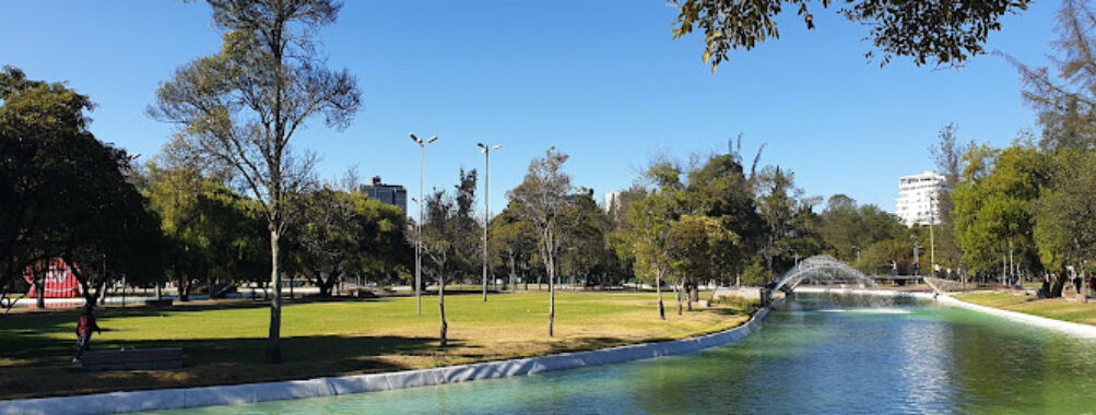 Parque La Carolina Travel Forum Reviews