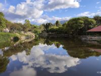 Parque Lineal La Tebaida Travel Forum Reviews