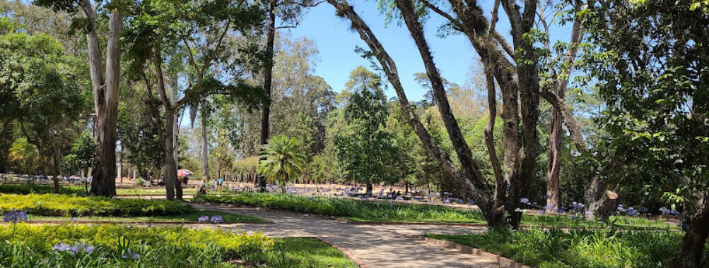 Parque Minerva Travel Forum Reviews