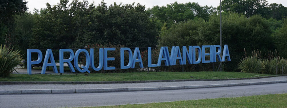 Parque Municipal da Lavandeira Travel Forum Reviews
