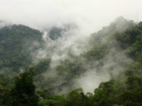 Parque Nacional Calilegua Travel Forum Reviews