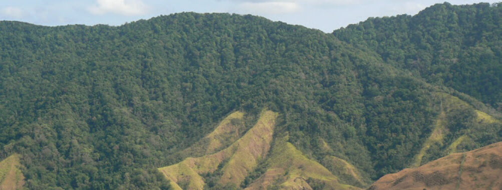 Parque Nacional Cerro Hoya Travel Forum Reviews