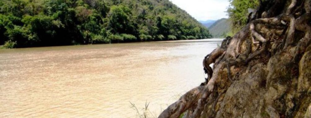 Parque Nacional Cerros de Amotape Travel Forum Reviews