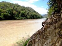 Parque Nacional Cerros de Amotape Travel Forum Reviews