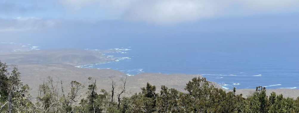 Parque Nacional Fray Jorge Travel Forum Reviews