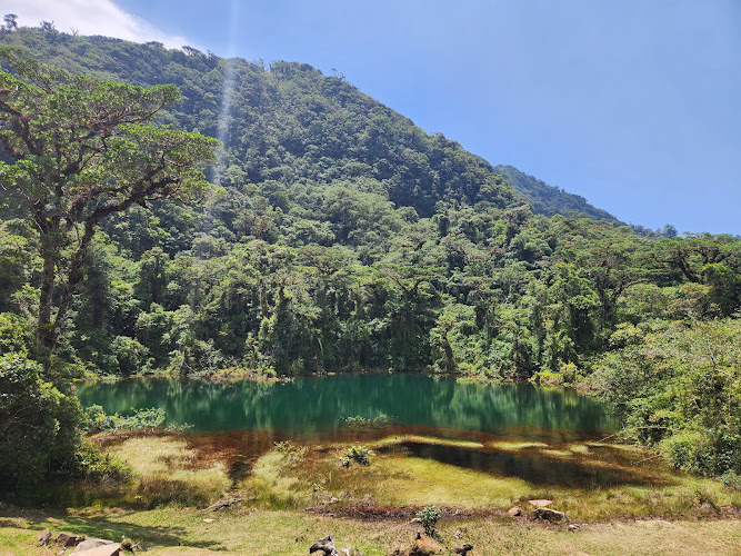 Parque Nacional Juan Castro Blanco