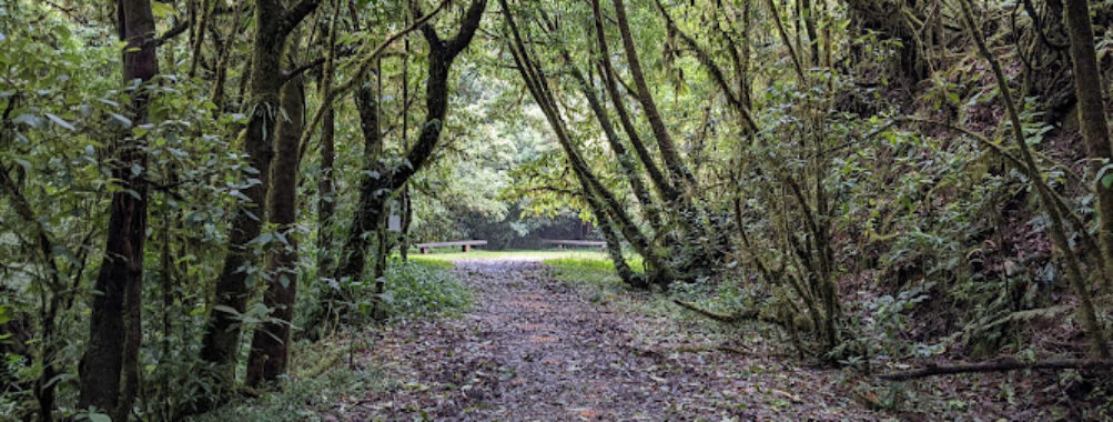 Parque Nacional La Tigra Travel Forum Reviews