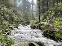 Parque Nacional Los Dinamos Travel Forum Reviews