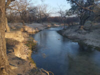 Parque Nacional Los Novillos Travel Forum Reviews
