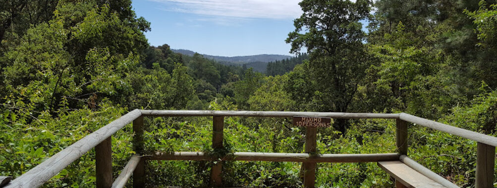 Parque Nacional Nonguén Travel Forum Reviews
