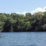Parque Nacional Punta Izopo