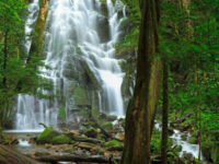 Parque Nacional Rincón de la Vieja Travel Forum Reviews
