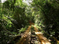 Parque Nacional Soberanía Travel Forum Reviews