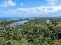 Parque Nacional Tortuguero Travel Forum Reviews