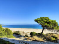 Parque Natural del Estrecho Travel Forum Reviews