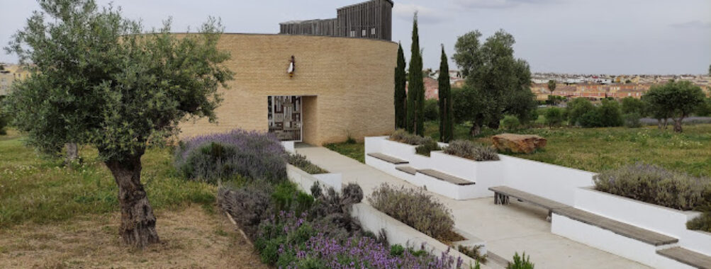 Parque Olivar del Zaudin Travel Forum Reviews