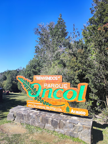 Parque Oncol