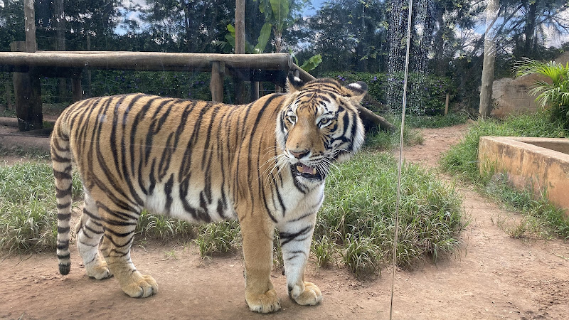 Parque Zoológico Municipal de Bauru