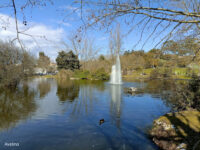 Parque da Cidade do Barreiro Travel Forum Reviews