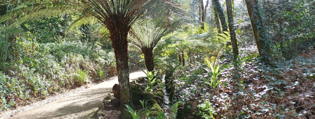 Parque da Pena Travel Forum Reviews