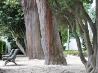 Parque das Águas Travel Forum Reviews